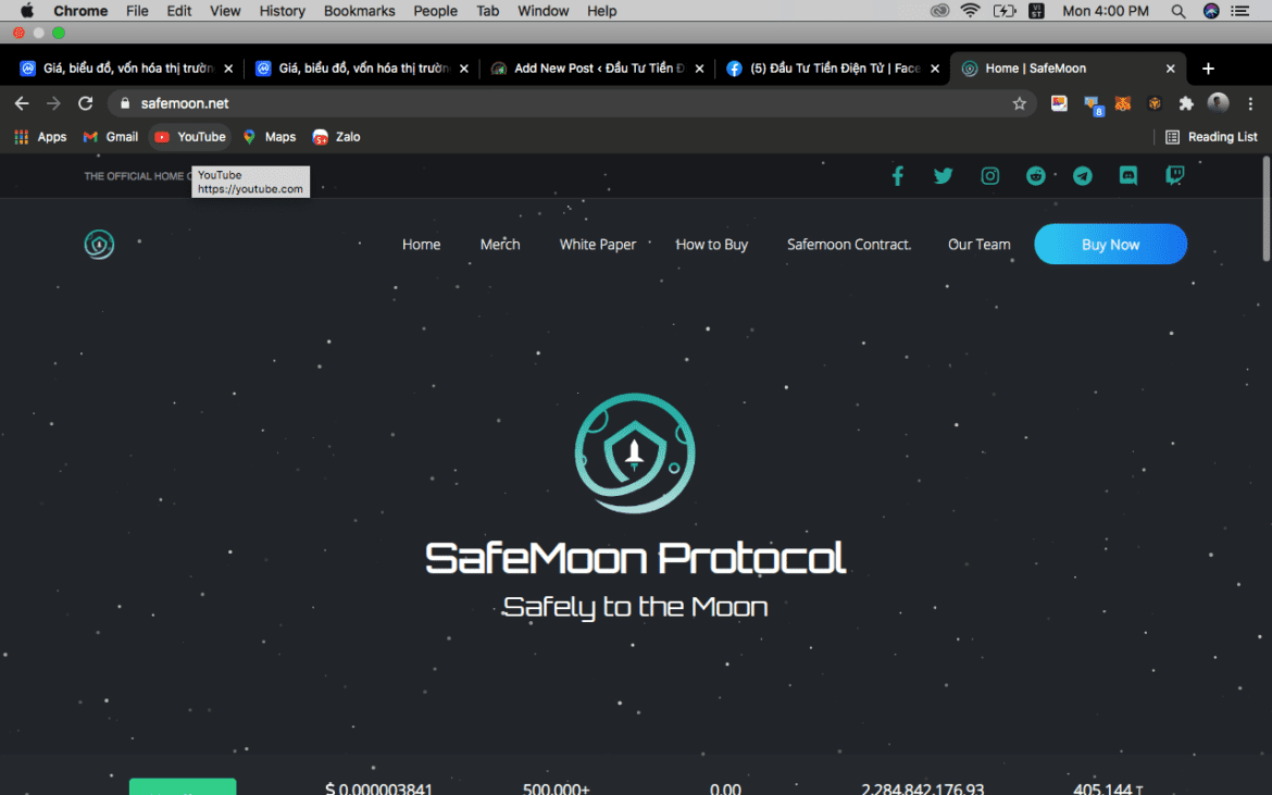 Safemoon là gì? - Đầu Tư Tiền Điện Tử