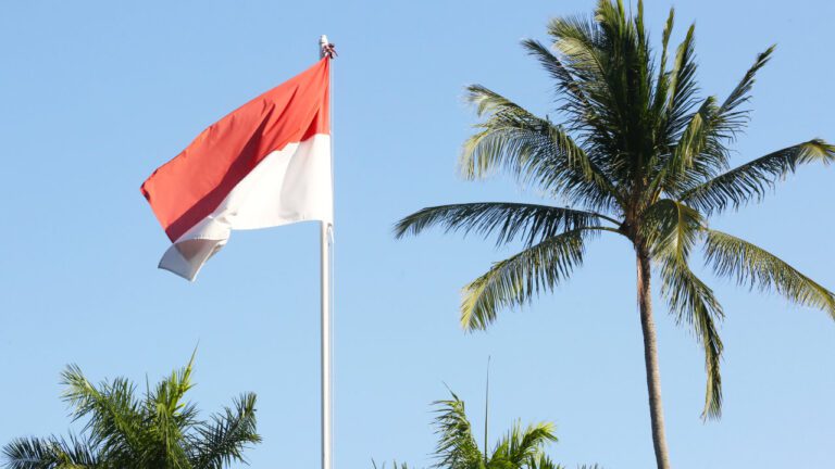 Chính phủ Indonesia đặt thuế tiền điện tử ở mức 0,1% sẽ bị đánh thuế bắt đầu từ tháng 5