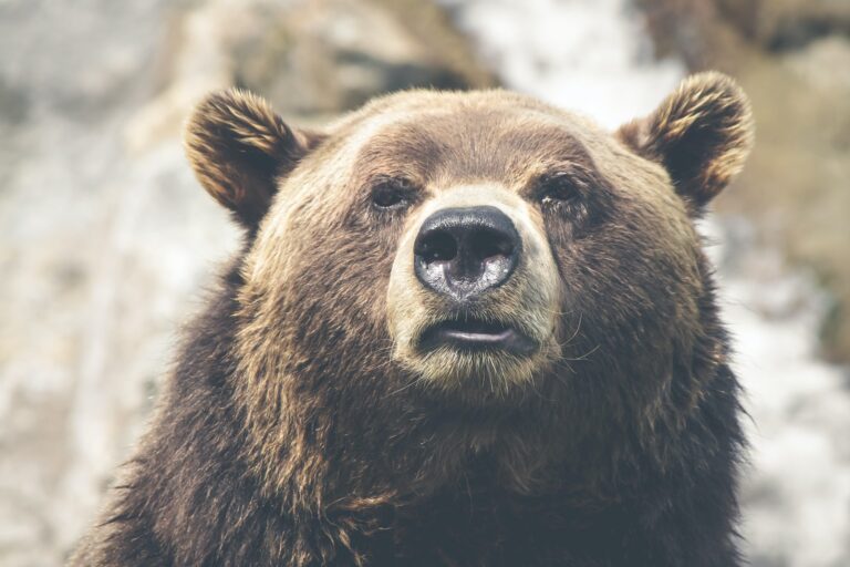 Các thợ đào Bitcoin bán BTC ít hơn 50% so với tháng trước – Kết thúc thị trường gấu?