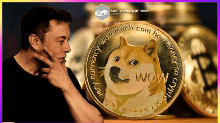 Giá Dogecoin tăng lên mức cao nhất trong hai tháng khi Twitter đổi thương hiệu thành X Có thể thêm tùy chọn thanh toán DOGE