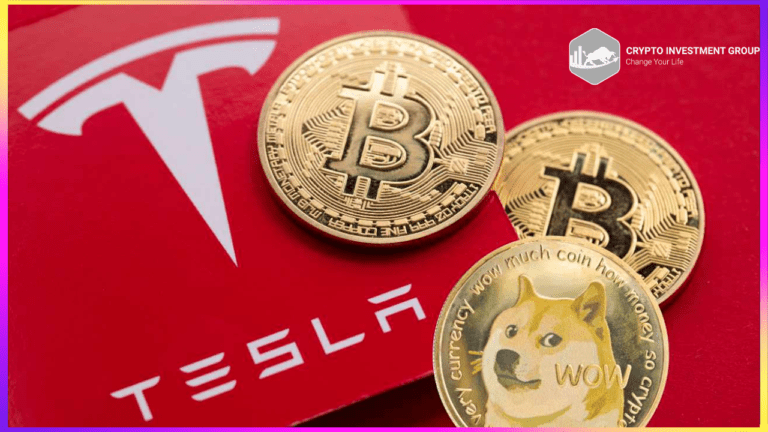 Tesla loại bỏ Bitcoin khỏi phương thức thanh toán và chỉ giữ lại Dogecoin