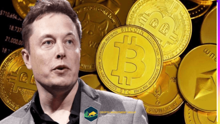 Thị trường tiền điện tử sụp đổ nhanh chóng sau khi SpaceX của Elon Musk xóa 373 triệu đô la Bitcoin