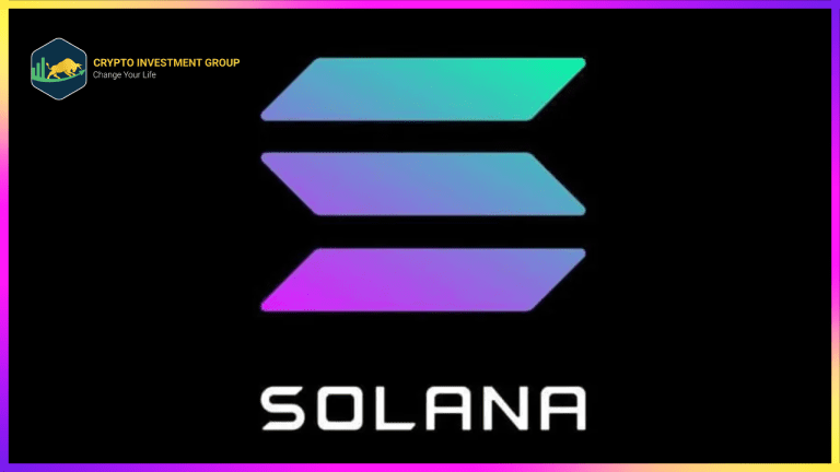 Meme Coin Frenzy của Solana: Sự cường điệu hay xu hướng bền vững?