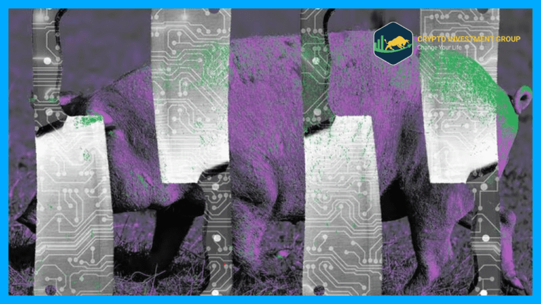 Google kiện các nhà phát triển ứng dụng Trung Quốc, tuyên bố hàng nghìn người bị lừa trong vụ giết lợn